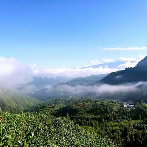 苦荞花开，走进大凉山