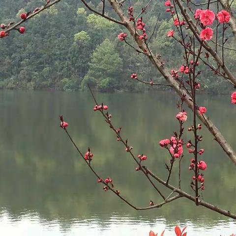 2019年3月书法培训