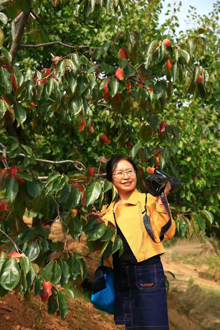 富平曹村虎头山秋景
