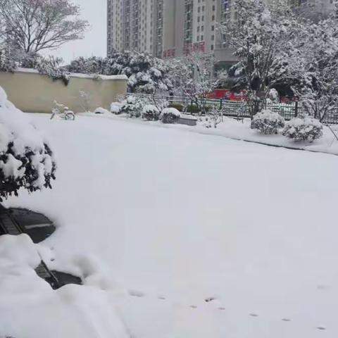 三中校园扫雪