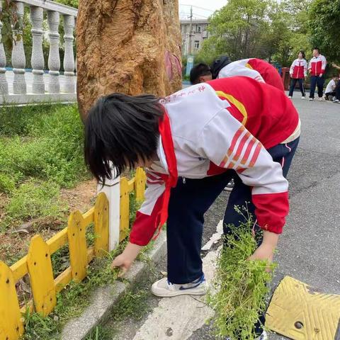 外国语集团五月份安全卫生工作亮点展示