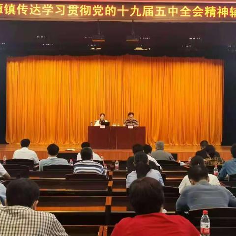 钟落潭镇组织召开传达学习贯彻党的十九届五中全会精神辅导会