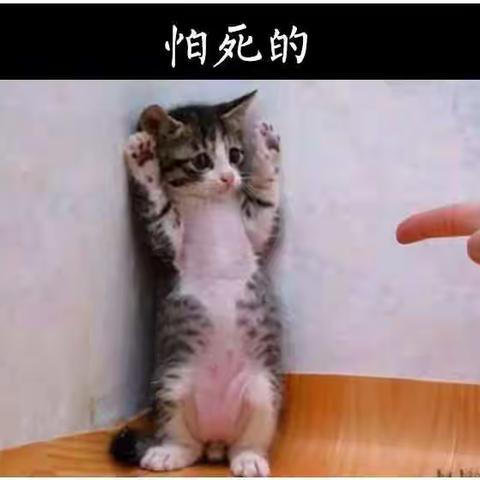 做销售的七种死法！