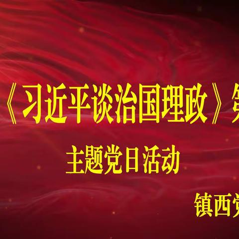 学思践悟 细照笃行 ——镇西开展“四史”主题党日活动