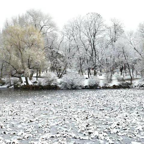 2019.3.15 一场春雪