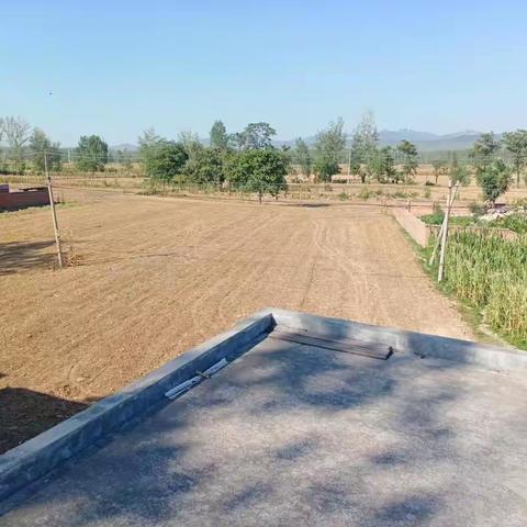 农田零红火迎秋收红红火火