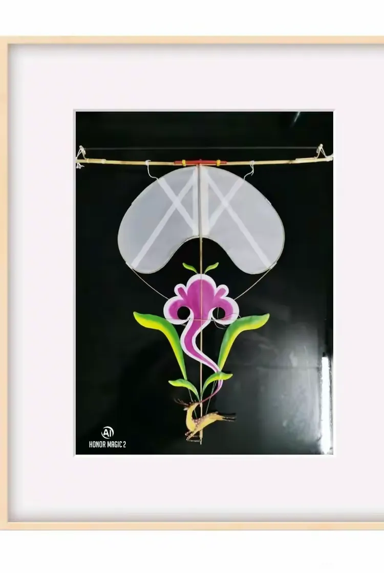 灵芝风筝制作与放飞