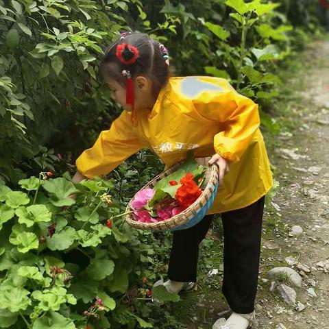 悦悦幼儿园庆六一迎端午活动