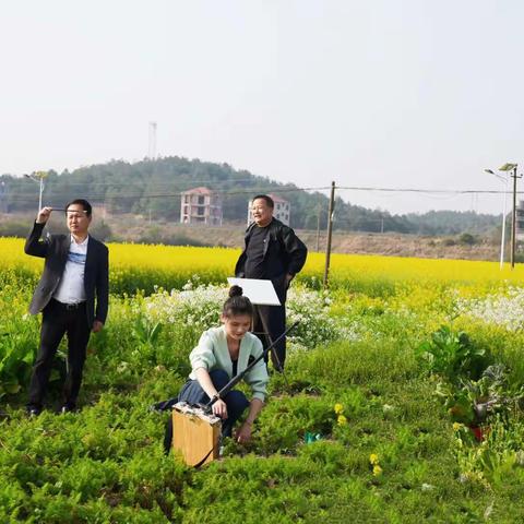 道县美术家协会户外写生活动