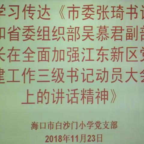 白沙门小学党支部学习张琦书记和吴慕君副部长在全面加强江东新区党建工作三级书记动员大会上的讲话精神