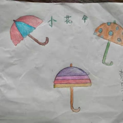 科学暑假  精彩成长