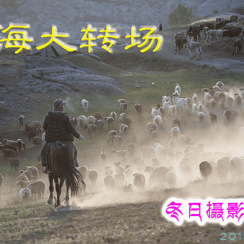 福海大转场