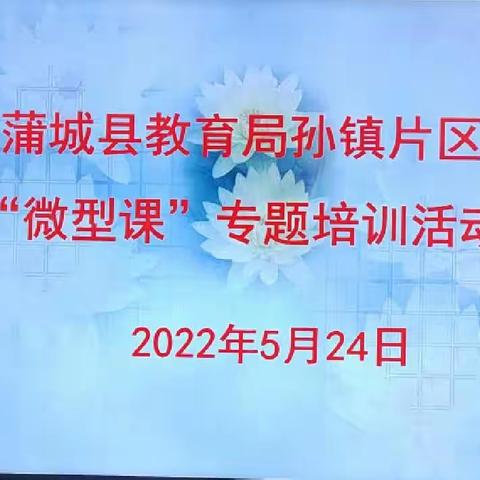 名师引领      携手同行———孙镇片区开展微型课培训活动