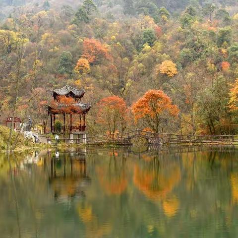 金秋行之二郎山喇叭河