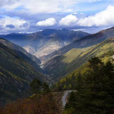 天冷了，我想你了