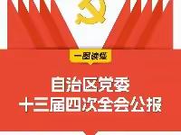 一图读懂：自治区党委十三届四次全会公报