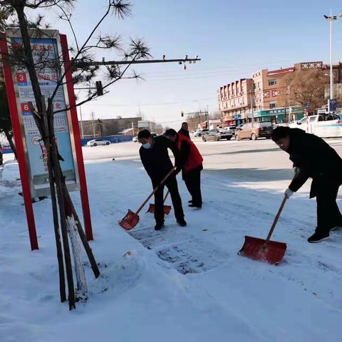 以雪为令，随下随清！万全区残联全力打好“雪停路净” 清雪行动