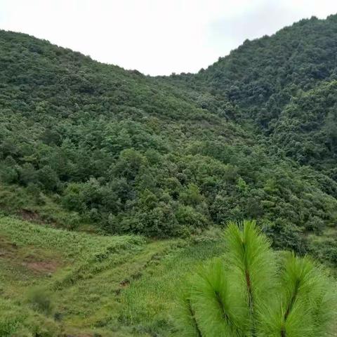 在乎山野之间～祝贺自己周末愉快