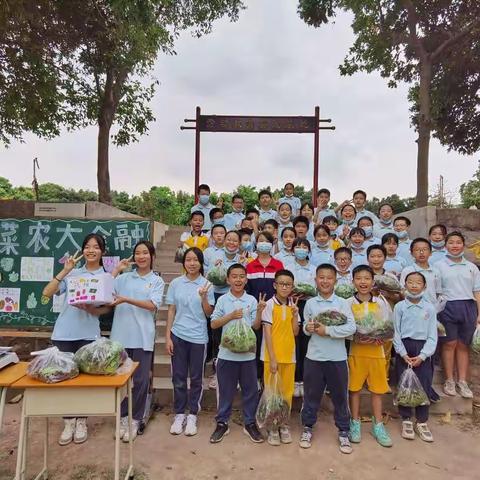 小菜农，大金融                              ——大涌镇旗北小学五（4）班苋菜义买活动