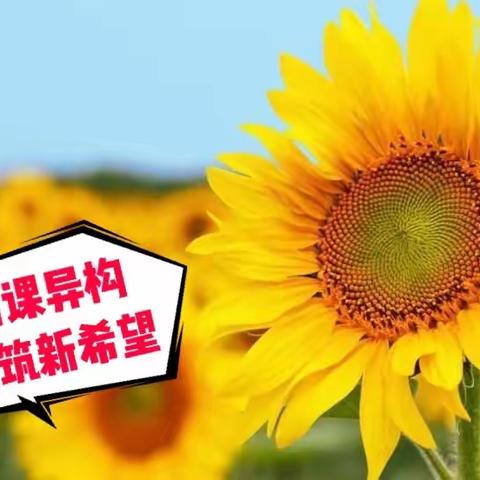 小数安乐一组   李春慧