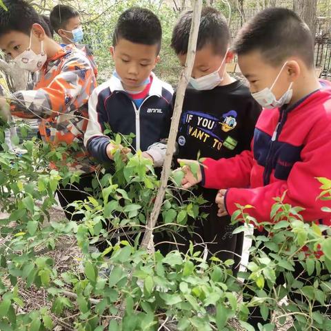 🌿春暖花开“趣”寻春🌿华源二幼亲子活动正在进行中