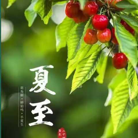 夏至日，如约而至——寺门村学区四留小学“夏至”综合实践活动