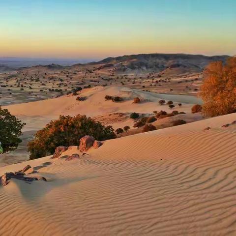 人生如茶（回味无穷）