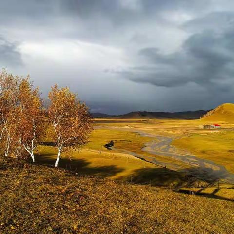 人这辈子，最好的活法就是一个字:淡！