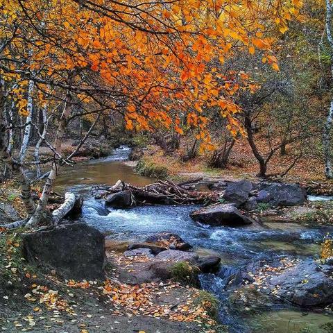 坚持遇见最好的自己