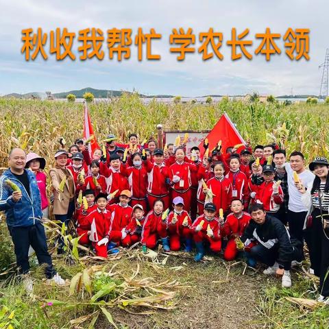 【舒兰实验·潜能教育】学农长本领 秋收我帮忙｜舒郊劳动实践基地掰玉米活动纪实