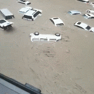 这一场雨下的可真大