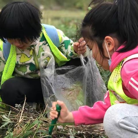 "挖野菜&自我效能"——2022年秋冬季"野"不一样第十一集