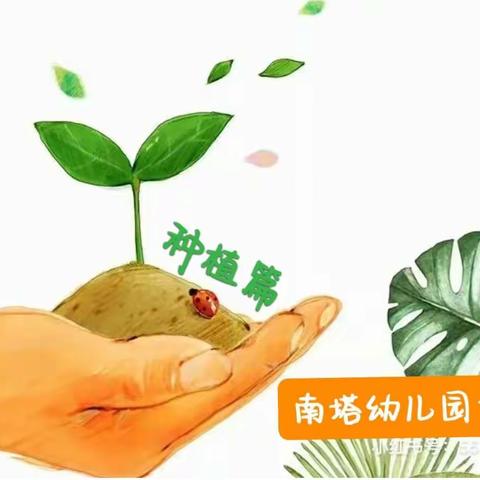 美丽小角落 邂逅大自然——永安市南塔幼儿园大班种植区