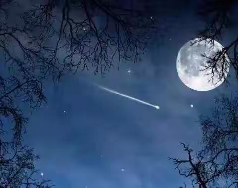 【石家庄市友谊大街小学西校】记录多彩暑假，开启美好生活——五色石中队“情满中秋 其乐融融”活动