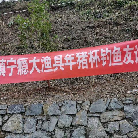 2020年隐大鱼具年猪杯邀请赛，在成武垂钓园圆满结束！