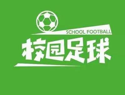 夯实基础，砥砺前行——杜生镇李屯小学足球⚽️特色校园汇报活动纪实