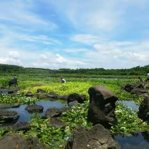 冷泉之旅