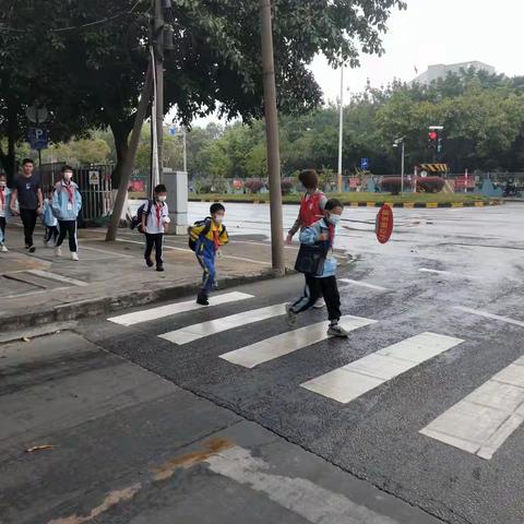 一抹志愿红，撑起“平安伞”——鼎湖逸夫小学家长志愿者护航队剪影