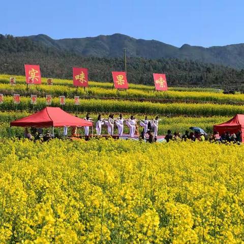 欢乐海洋   视听盛宴