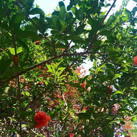 特殊时光，不一样的爱