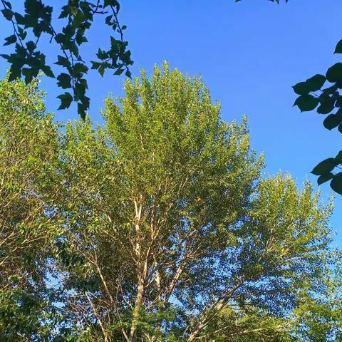 缤纷斑斓的暑期，看过来