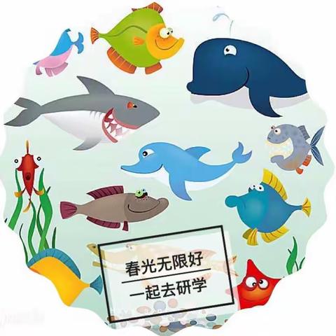 🐬春风不燥，研学正好🐬——记文外四年级前往海洋馆研学探秘