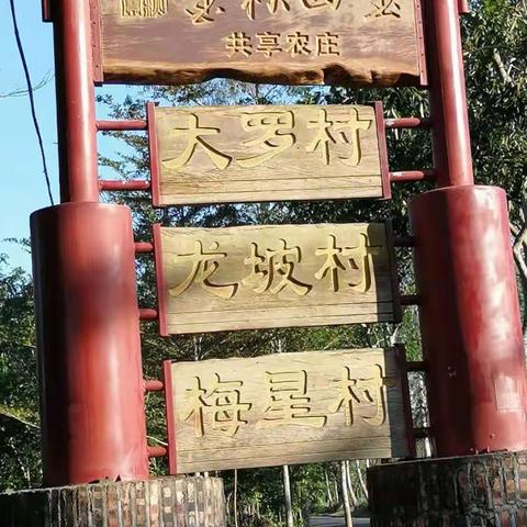 金秋四宝共享农庄邀您种木薯拔木薯做薯饼吃薯糕