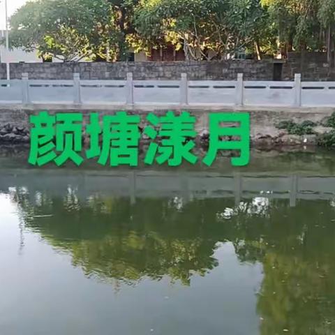 颜塘逐波漾明月