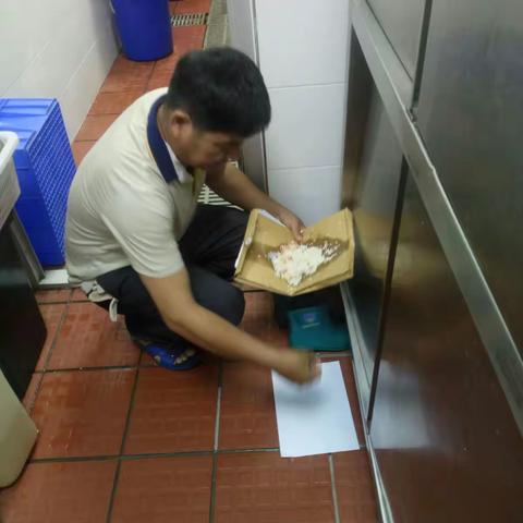 灭鼠秘方