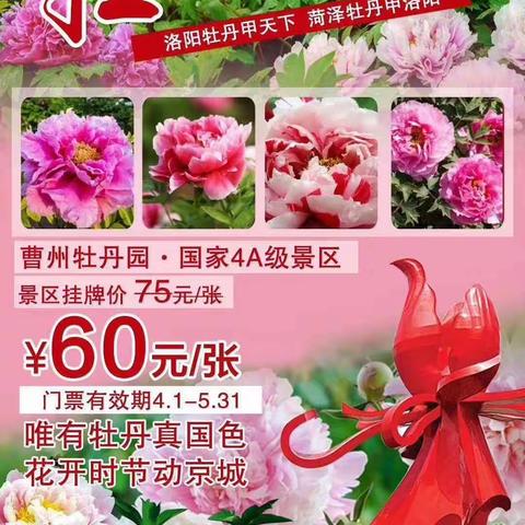 [乐途旅行社]自驾游门票，特价分享!