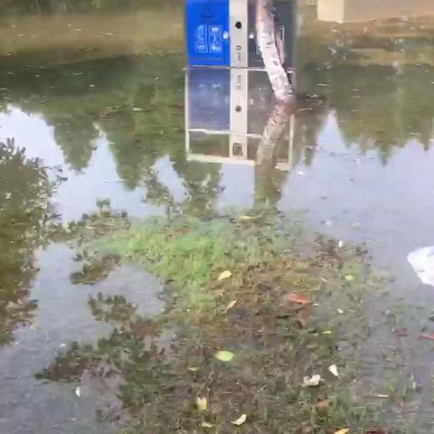 暴雨过后