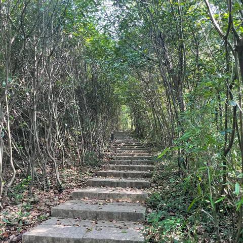 2022.6.11，胡埭行（爬山、参观阖闾城遗址）