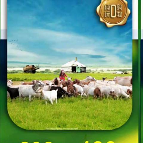 🍀🍀🍀关山大草原消暑二日游