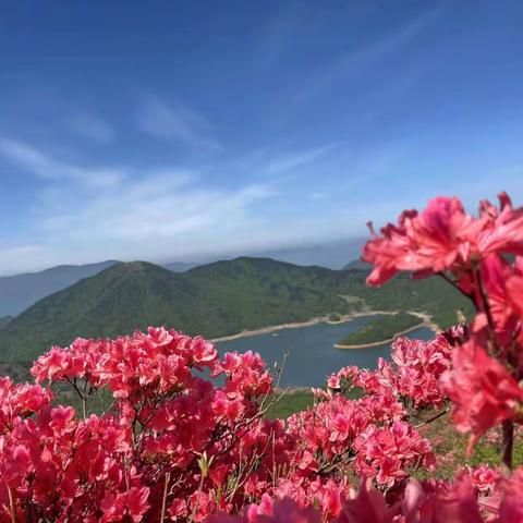 浙西天池碧水绿  乐利峰尖映山红